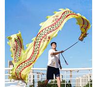 HYQING Dragon Poi Fitness, Nastro da Lancio a Forma di Drago con Testa in Acciaio, Leggero, Set di Accessori for Danza/Giocoleria for Ragazzi, Adulti e Anziani.(Yellow,6 m (20 ft))