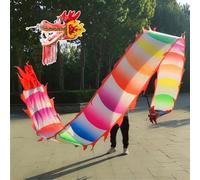 HYQING Nastri rotanti Lavabili a Forma di Drago Arcobaleno Dragon Poi, Motivo a Drago in Seta Che Si muove e Si agita, Streamer Quadrato a Forma di Drago colorato for Fitness/Ginnastica(6 m (20 ft))
