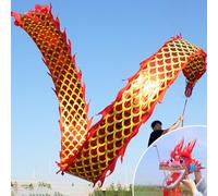 HYQING Nastro a Forma di Drago con Scaglie Dorate, Poi, for Sport e Fitness, con stampaggio in Oro, Bandiera da Danza Artistica for Giocoleria/Palestra.(Red,6 m (20 ft))