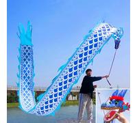 HYQING Nastro a Forma di Drago con Squame Blu, Set di Danza del Drago Poi in Stile Orientale Tradizionale, Lavabile, for Fitness e Lancio all'aperto, for Anziani.(6 m (20 ft))