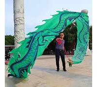 HYQING Nastro da Danza del Drago con Motivo Cinese Loong, for Il Lancio all'aperto, Fitness, colorato, a Forma di Drago, Lungo 26 piedi/33 Piedi, con Motivo a Drago.(Green,8 m (26 ft))