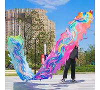 HYQING Nastro da Danza del Drago con Motivo Fenice Dragon Poi, Nastri da Lancio Tradizionali orientali con Testa di Drago, Nastro da Giocoleria in Seta Simile al Drago.(Colorful,10 m (33 ft))
