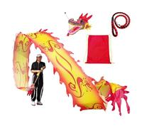 HYQING Set di Nastri da Danza con Stampa Drago Giallo e Rosso, for Esercizi all'aperto, for Adulti, for Fitness e Sport.(10 m (33 ft))