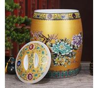 HYQOUKLR Contenitore sigillato per la, For riso, soia, mais, farina, farina d'avena(Gold,10kg)