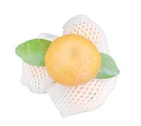 HYQOUKLR Copertura Protettiva Antiurto, Set di 100 Pezzi di Manicotti in Schiuma di Frutta, for la Protezione Antiurto di Mele e Fragole, Tasca a Rete(17x10cm)