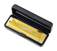 HYROOY 10 fori, 20 toni, chiave professionale armonica C, organo orale e armonica professionale per bambini, adulti, giocatori