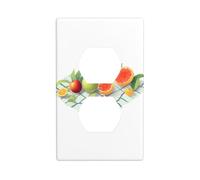 HYTTER Frutta sulla griglia stampa doppia presa pannello a parete piastra di copertura presa elettrica piastra di copertura infrangibile decorazione durevole 11,4 x 7 cm