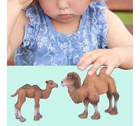 Hyuduo Statuetta di Animali in Miniatura da 2 Pezzi, Modello di Animale in Plastica Dipinta a Mano, Perfetta per la Sala Giochi Educativa dei Bambini e l'arredamento della Casa