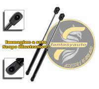 Hyundai i20 Dal 2014 2 Molle A Gas Pistoni Portellone Cofano Posteriore