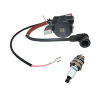 HYUYRFJR Bobina di accensione Adatta for Alp-INA VIP 34 40 42 52 Raccoglitrice for Olive Star 36 36D 41 41D 41F 45 55 Decespugliatore 3211015 3210670 32110101