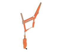 HyVIZ Reflector Pettorale Inglese (BZ2479)