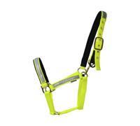 HyVIZFieldsafe Cavezza per Cavallo (BZ3815)