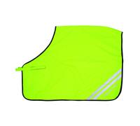 HyVIZReflector Maglia a Rete Coperta di Esercizio per Cavalli Quarter (BZ6062)