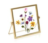 HyzaPhix Cornice per Fiori Pressati, Cornici Foto Pressed Flower Photo Frame per Decorazioni Casa Ufficio Domestico, Esemplari Di Piante, Regali Fai Da Te (oro 15x15cm)