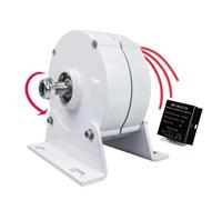HYZHANHONG 12V, Generatore Magnetico trifase Senza Ingranaggi 10000W 12V 24V 48V Alternatore CA Fai da Te per turbina eolica per Uso Domestico (con Controller)