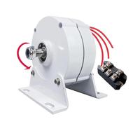 HYZHANHONG 24V, Generatore Magnetico Senza Ingranaggi trifase a Bassa velocità da 10000 W, 12 V, 24 V e 48 V, alternatore AC, generatore a Basso Numero di Giri per Turbine eoliche Fai da Te