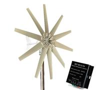 HYZHANHONG 48V, Kit generatore Eolico da 10 Pale 12000W, Bassa rumorosità, Bassa velocità di avviamento, 12V 24V 48V, generatore Eolico Orizzontale di Nuova energia