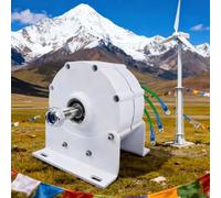 HYZHANHONG Generatore Eolico AC trifase 4000W con Base, alternatore AC Senza Ingranaggi 12V 24V 48V 220V per generatore Eolico Fai-da-Te, alternatore Senza spazzole, 220V,220V