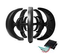 HYZHANHONG Generatore Eolico Verticale da 1000W, Generatore Eolico da 12V 24V 48V con Controller 3 Fasi con 5 Pale per proprietà Costiere e Rifugi Montani,220v