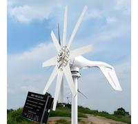 HYZHANHONG Turbina eolica Verticale da 3000W con 8 Pale, Kit per Turbine eoliche da 12V 24V 48V 220V con Controller per Barche, terrazze, cabine, Case, energia Industriale.,12V