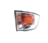 HZ-DESIGN Freccia Specchio Indicatore Direzione Destro per Specchietto Laterale Compatibile Con Iveco Quotidiano IV,V,VI