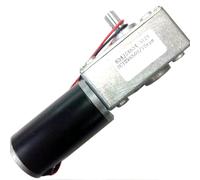 HZDXWXOJ JSX634 Turbina a Vite Senza fine Motore Riduttore CC 12V24V 2-250RPM Coppia CW CCW Regolabile Apriporta for finestre Fai da Te(24V Dual Shaft,15)