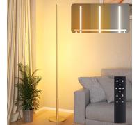 Hzitcigm Lampada da Terra LED Dorata con Telecomando, 2700-6500 K | Piantana con Luce Regolabile e Memoria Solo Dopo lo Spegnimento con il Telecomando; per Soggiorno, Camera e Ufficio