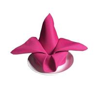 HZLXF1 6 tovaglioli da tavola in Raso, tovaglioli da Cena, tovaglioli da tavola for Decorazioni for Matrimoni, Compleanni, Banchetti e Feste di Natale(Rose Red)