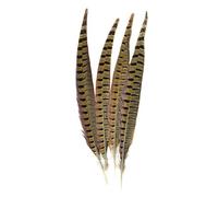 Hztuang Sete della natura Piuma di ilfagiano 4/Pcs, Naturale Piuma d'ilfagiano 12-14" (30,5-35,5 cm), 4 Pezzi