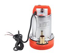 Hztyyier Pompe dell'Acqua Pompa DC 12V Pompa Sommergibile per Pozzi Profondi Pompa dell'Acqua per Irrigazione per Ranch Farm Irrigation Accessories