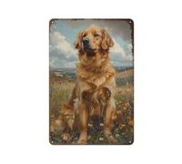 Hzws Targa da parete in metallo vintage con Golden Retriever in the Grass per casa, grotta degli uomini e bar, decorazione da parete per animali domestici, 30 x 20 cm, piatto 2D
