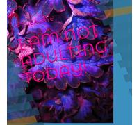 I AM NOT ADULTING TODAY