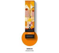 I.ART Tempra Senecio arancione colore semi-permanente capelli 100ml