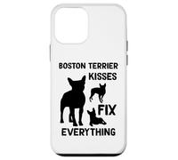 I baci del Boston Terrier sistemano tutto mamma del Boston Custodia per iPhone 12 mini