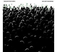 I Believe In My Mess - We Can't Be Wrong (LP)