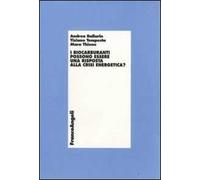 I biocarburanti possono essere una risposta alla crisi energetica?