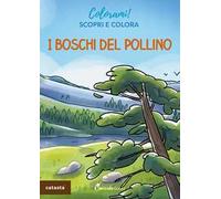I boschi del Pollino. Ediz. a colori