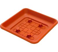 I.C.S. Sottovaso Quadro Laurus cm 35X35 R70036