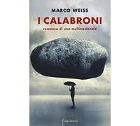 I calabroni. Romanzo di una multinazionale