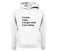 I Came Sega Dimenticato What Was Doing - Adulti Felpa/Maglione - Funny Slogan
