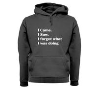 I Came Sega Dimenticato What Was Doing - Adulti Felpa/Maglione - Funny Slogan