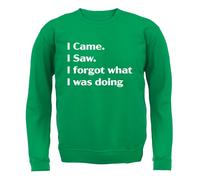I Came Sega Dimenticato What Was Doing - Adulti Felpa/Maglione - Funny Slogan