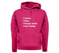 I Came Sega Dimenticato What Was Doing - Adulti Felpa/Maglione - Funny Slogan