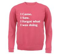 I Came Sega Dimenticato What Was Doing - Adulti Felpa/Maglione - Funny Slogan