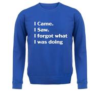 I Came Sega Dimenticato What Was Doing - Adulti Felpa/Maglione - Funny Slogan