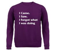 I Came Sega Dimenticato What Was Doing - Adulti Felpa/Maglione - Funny Slogan