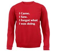 I Came Sega Dimenticato What Was Doing - Adulti Felpa/Maglione - Funny Slogan