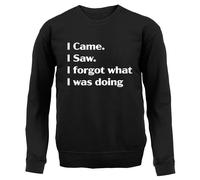 I Came Sega Dimenticato What Was Doing - Adulti Felpa/Maglione - Funny Slogan