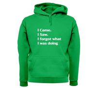 I Came Sega Dimenticato What Was Doing - Adulti Felpa/Maglione - Funny Slogan