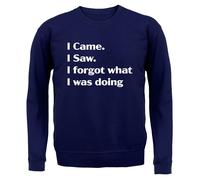 I Came Sega Dimenticato What Was Doing - Adulti Felpa/Maglione - Funny Slogan
